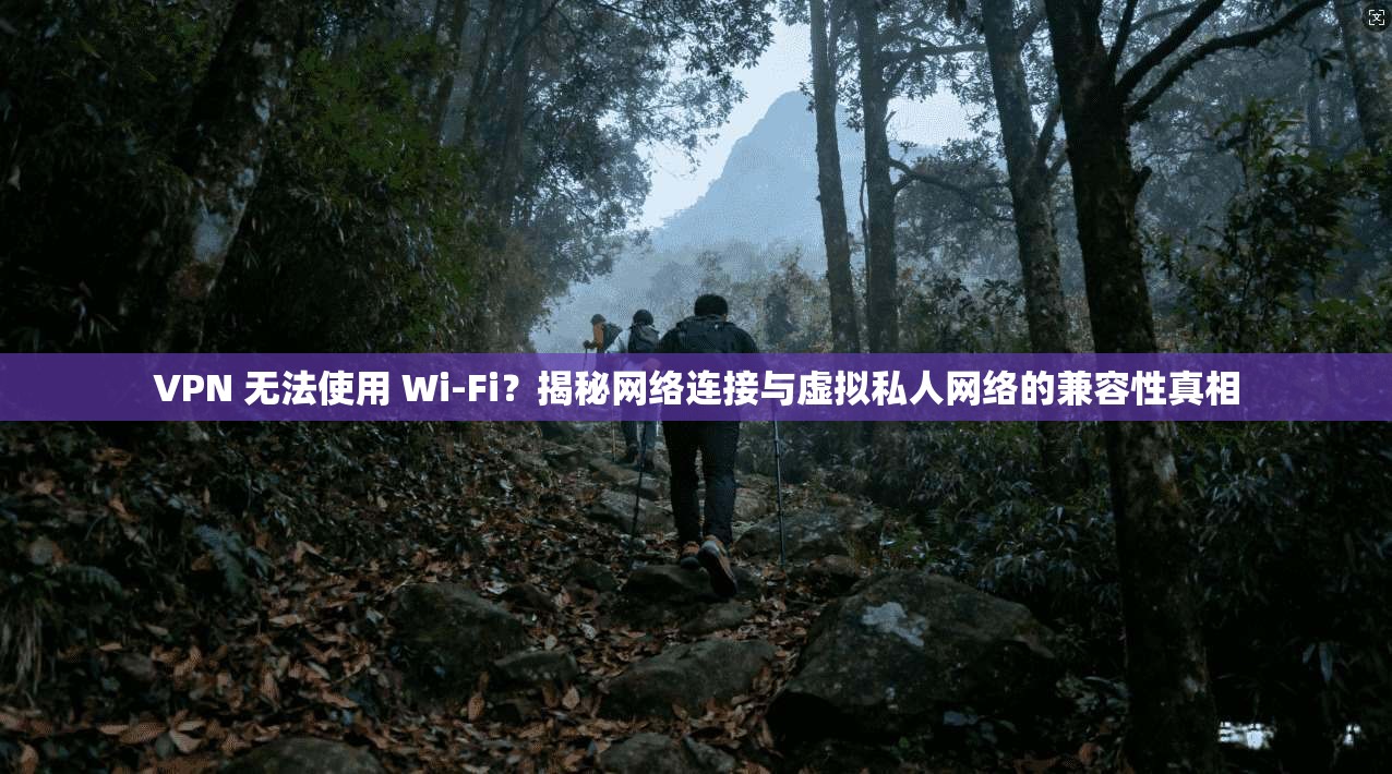 VPN 无法使用 Wi-Fi？揭秘网络连接与虚拟私人网络的兼容性真相