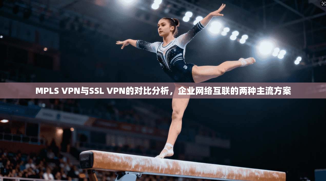 MPLS VPN与SSL VPN的对比分析，企业网络互联的两种主流方案