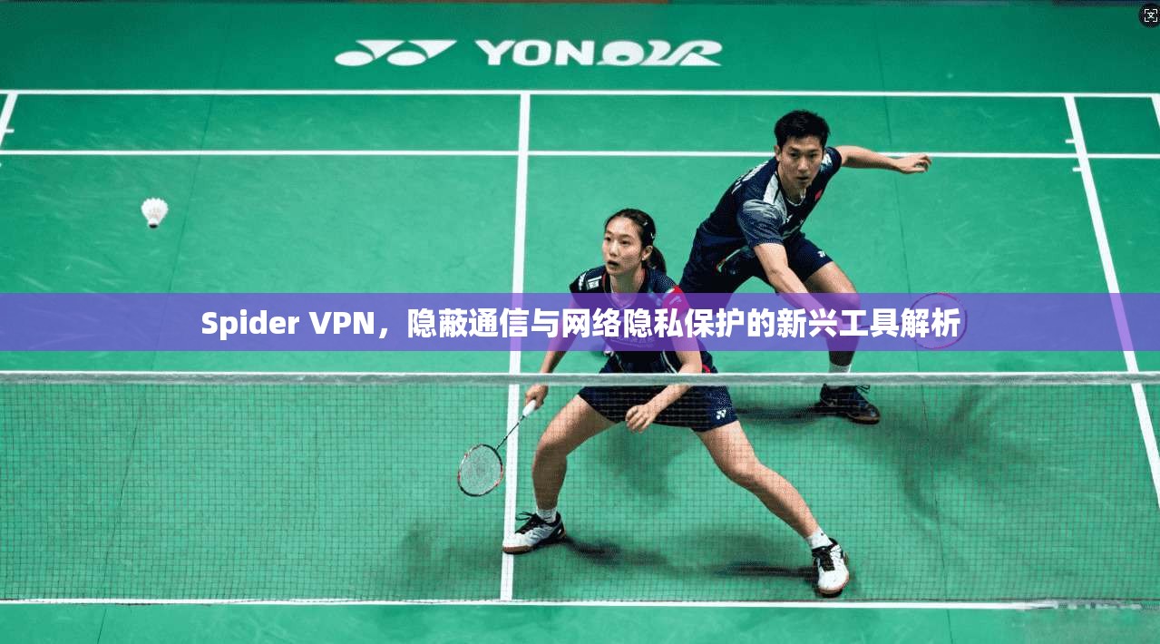 Spider VPN，隐蔽通信与网络隐私保护的新兴工具解析
