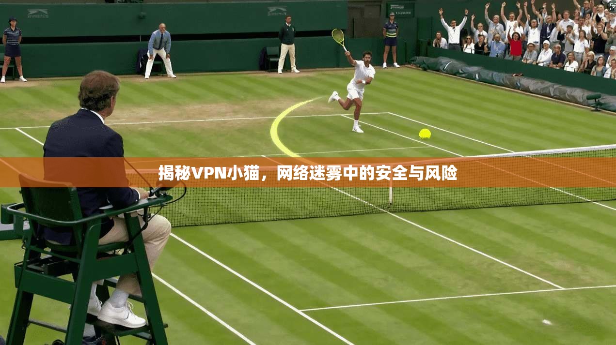 揭秘VPN小猫，网络迷雾中的安全与风险