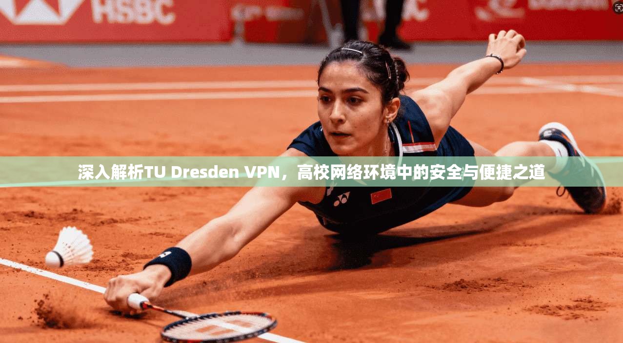 深入解析TU Dresden VPN，高校网络环境中的安全与便捷之道