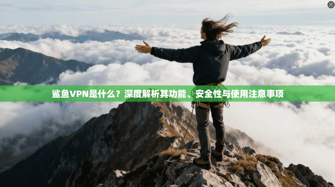 鲨鱼VPN是什么？深度解析其功能、安全性与使用注意事项