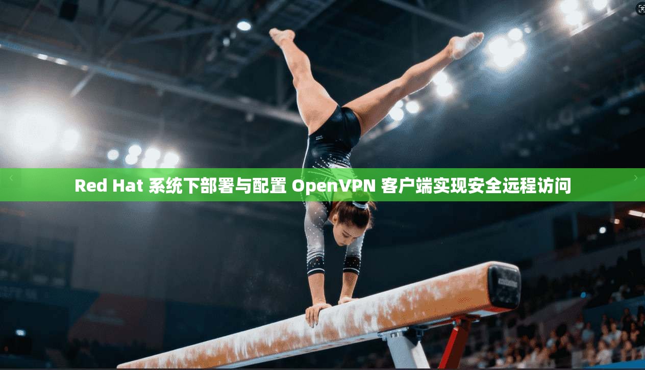 Red Hat 系统下部署与配置 OpenVPN 客户端实现安全远程访问