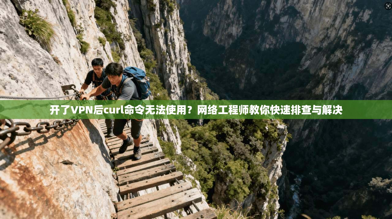 开了VPN后curl命令无法使用？网络工程师教你快速排查与解决