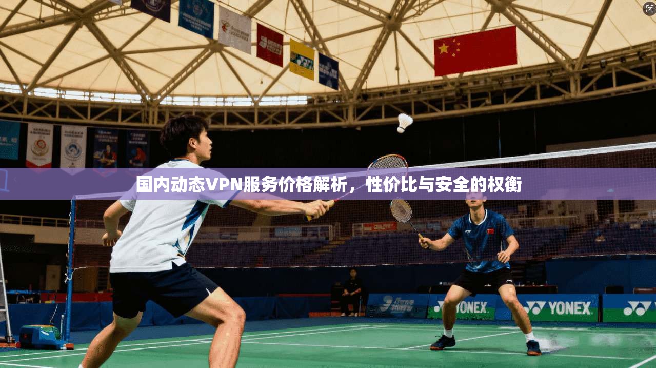 国内动态VPN服务价格解析，性价比与安全的权衡