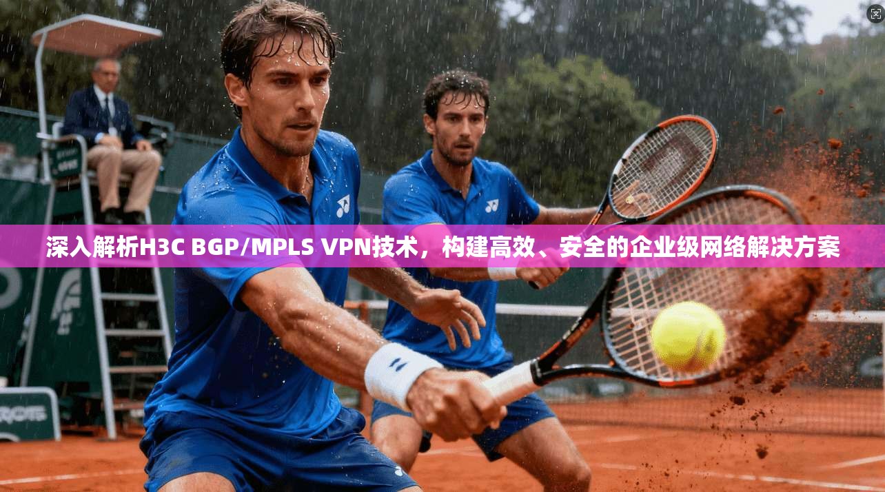 深入解析H3C BGP/MPLS VPN技术，构建高效、安全的企业级网络解决方案