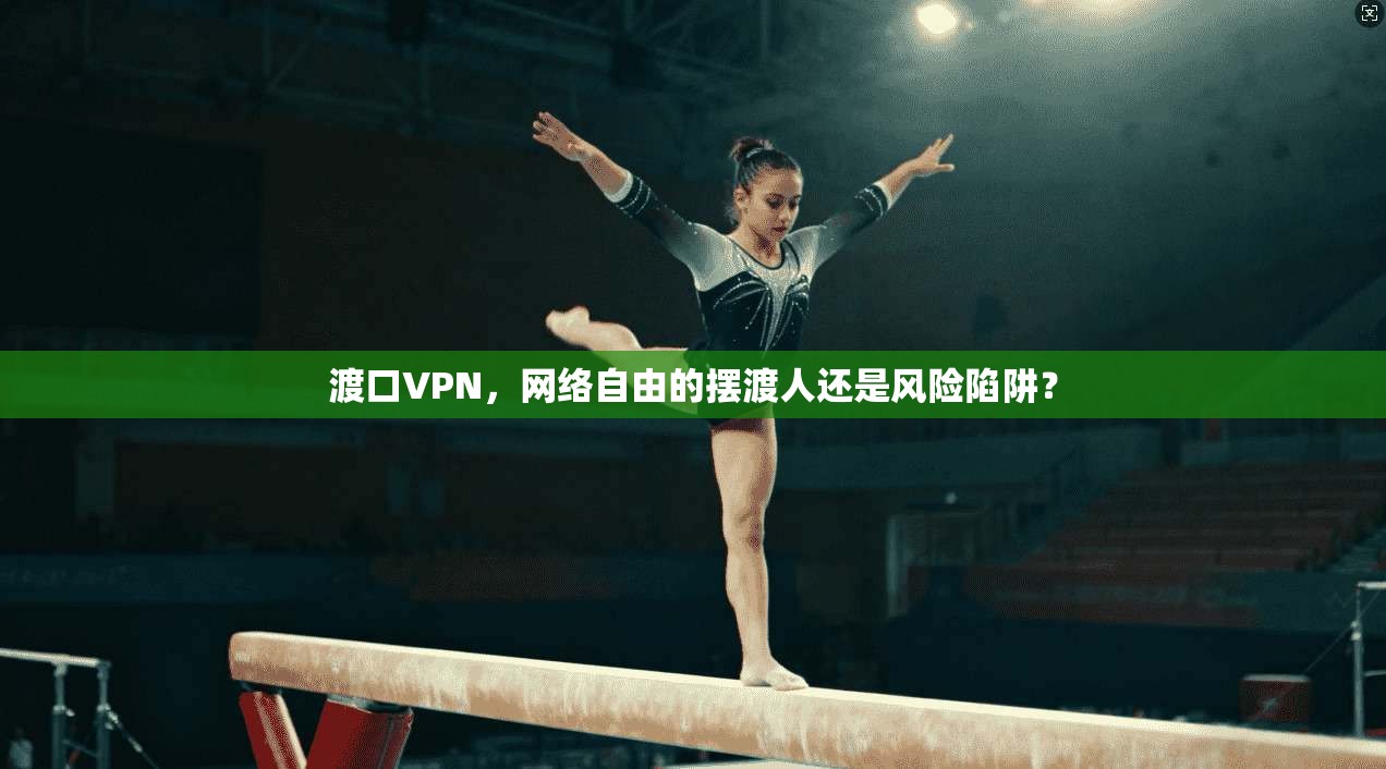 渡口VPN，网络自由的摆渡人还是风险陷阱？