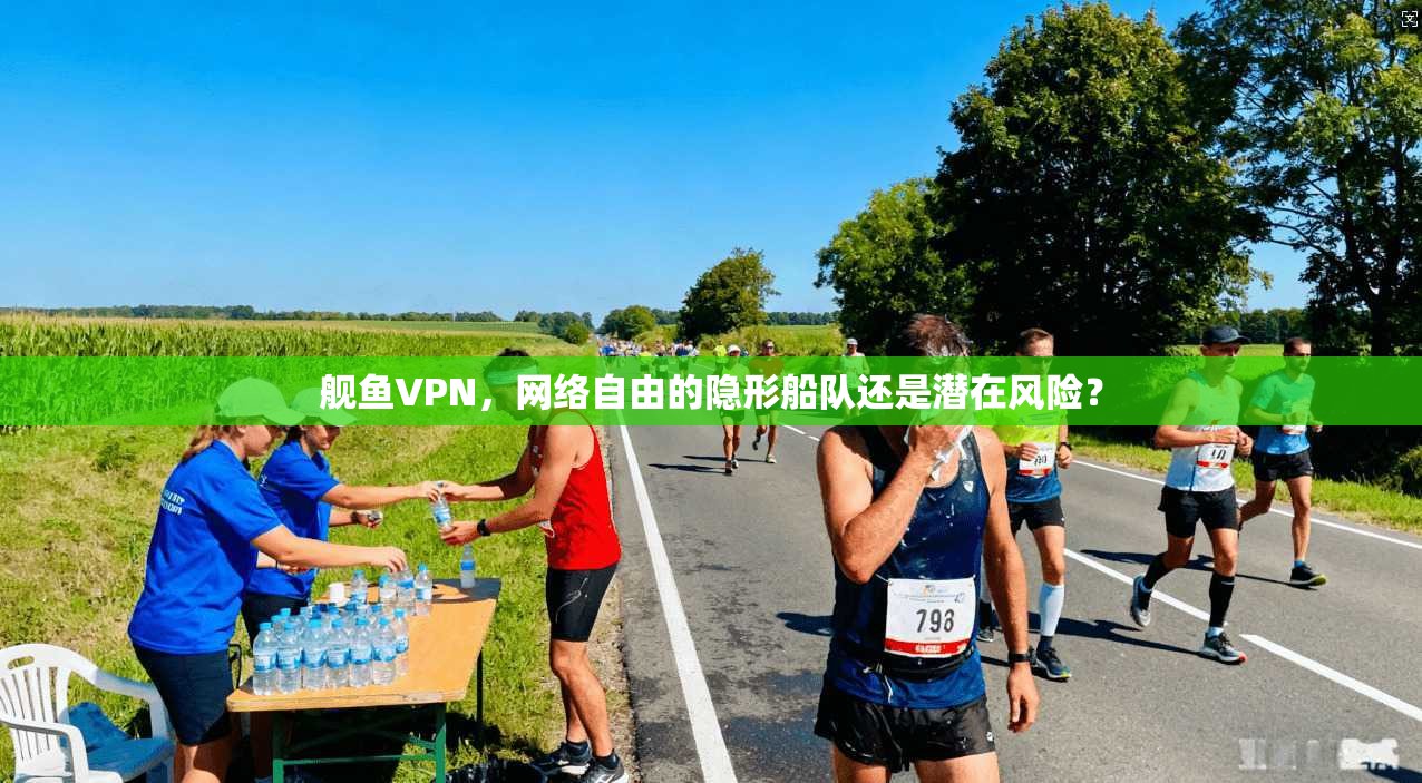 舰鱼VPN，网络自由的隐形船队还是潜在风险？