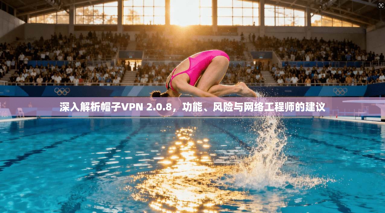 深入解析帽子VPN 2.0.8，功能、风险与网络工程师的建议