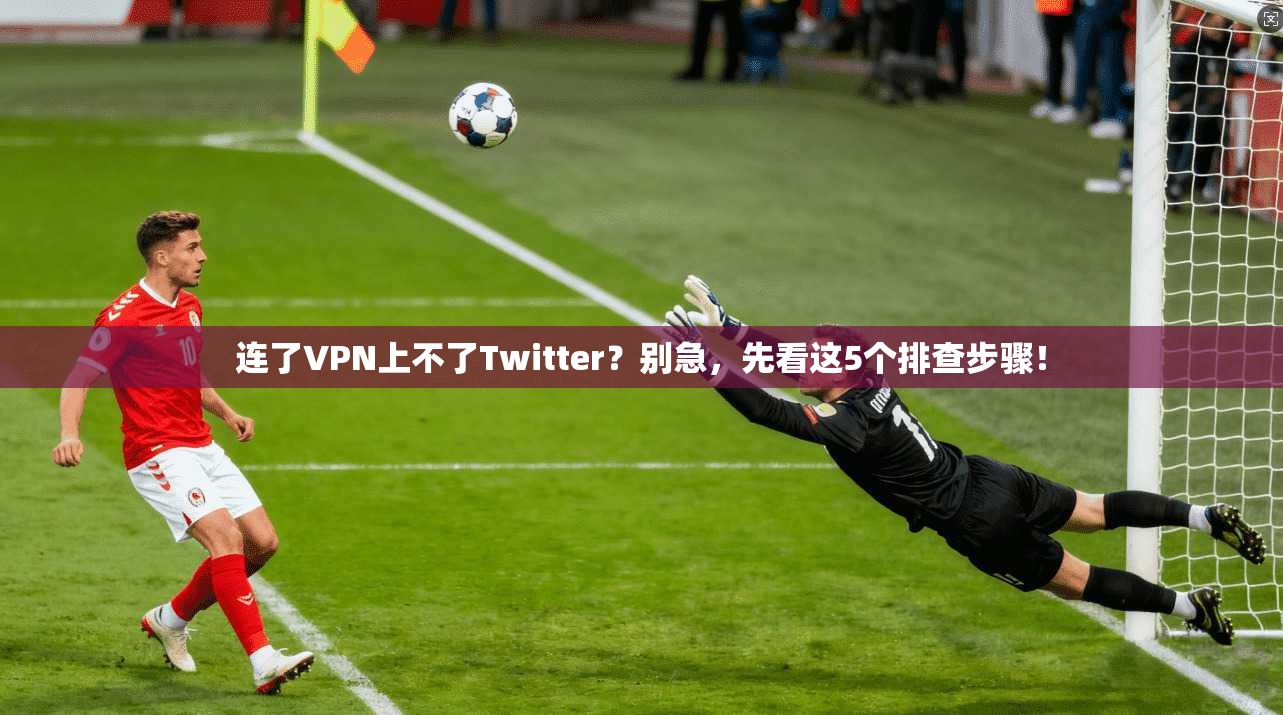 连了VPN上不了Twitter？别急，先看这5个排查步骤！