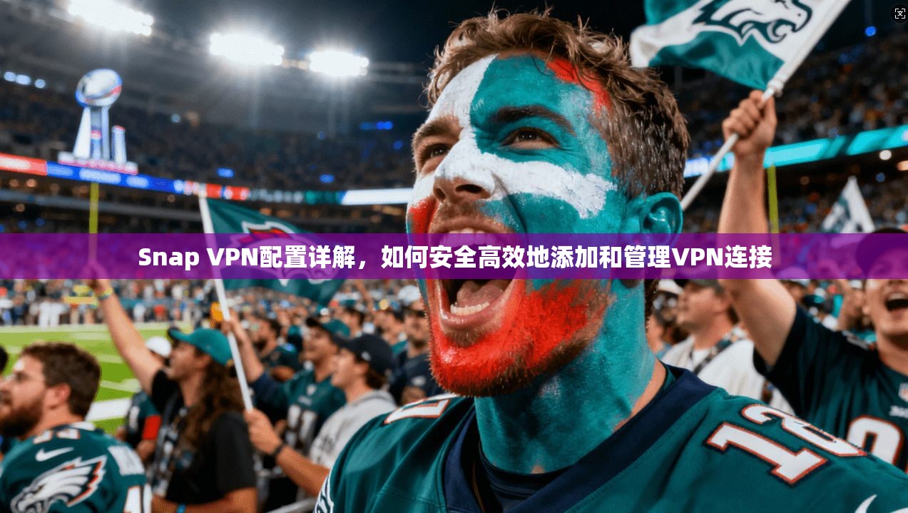 Snap VPN配置详解，如何安全高效地添加和管理VPN连接