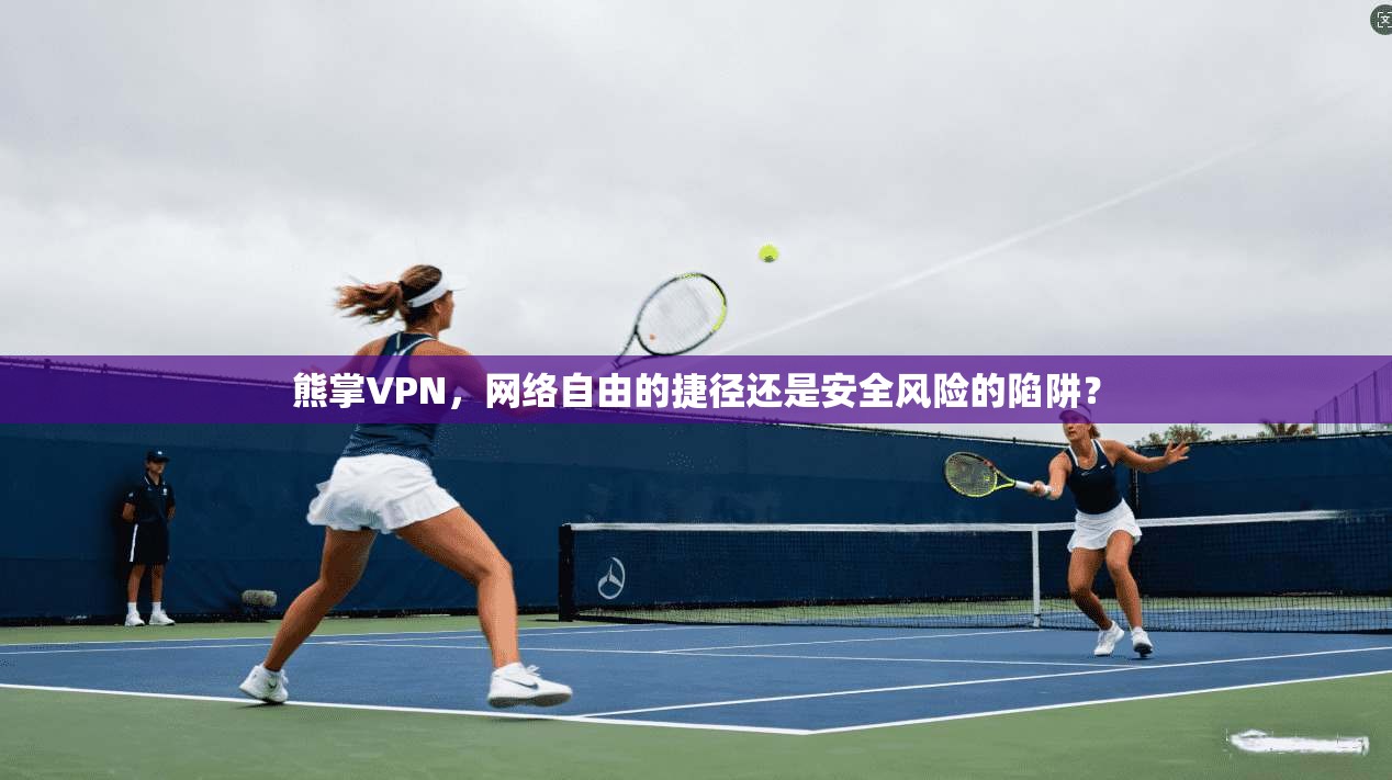 熊掌VPN，网络自由的捷径还是安全风险的陷阱？