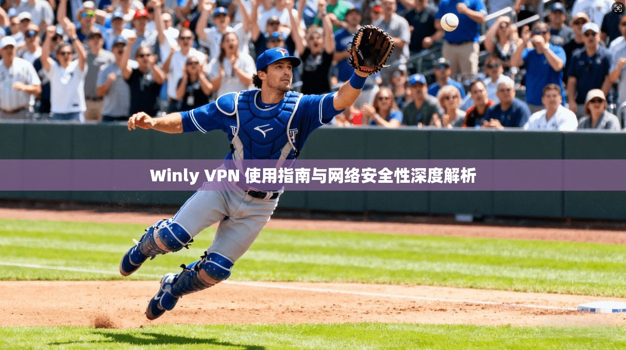 Winly VPN 使用指南与网络安全性深度解析