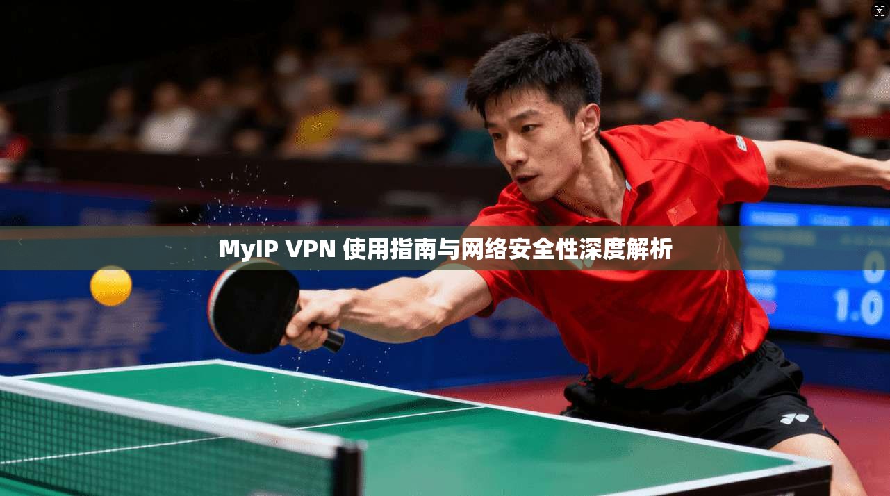 MyIP VPN 使用指南与网络安全性深度解析