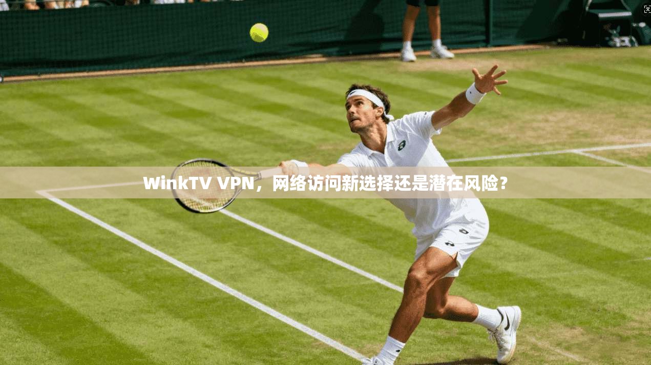 WinkTV VPN，网络访问新选择还是潜在风险？