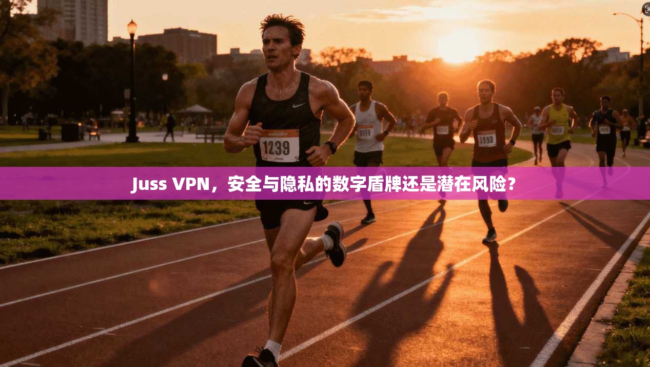 Juss VPN，安全与隐私的数字盾牌还是潜在风险？