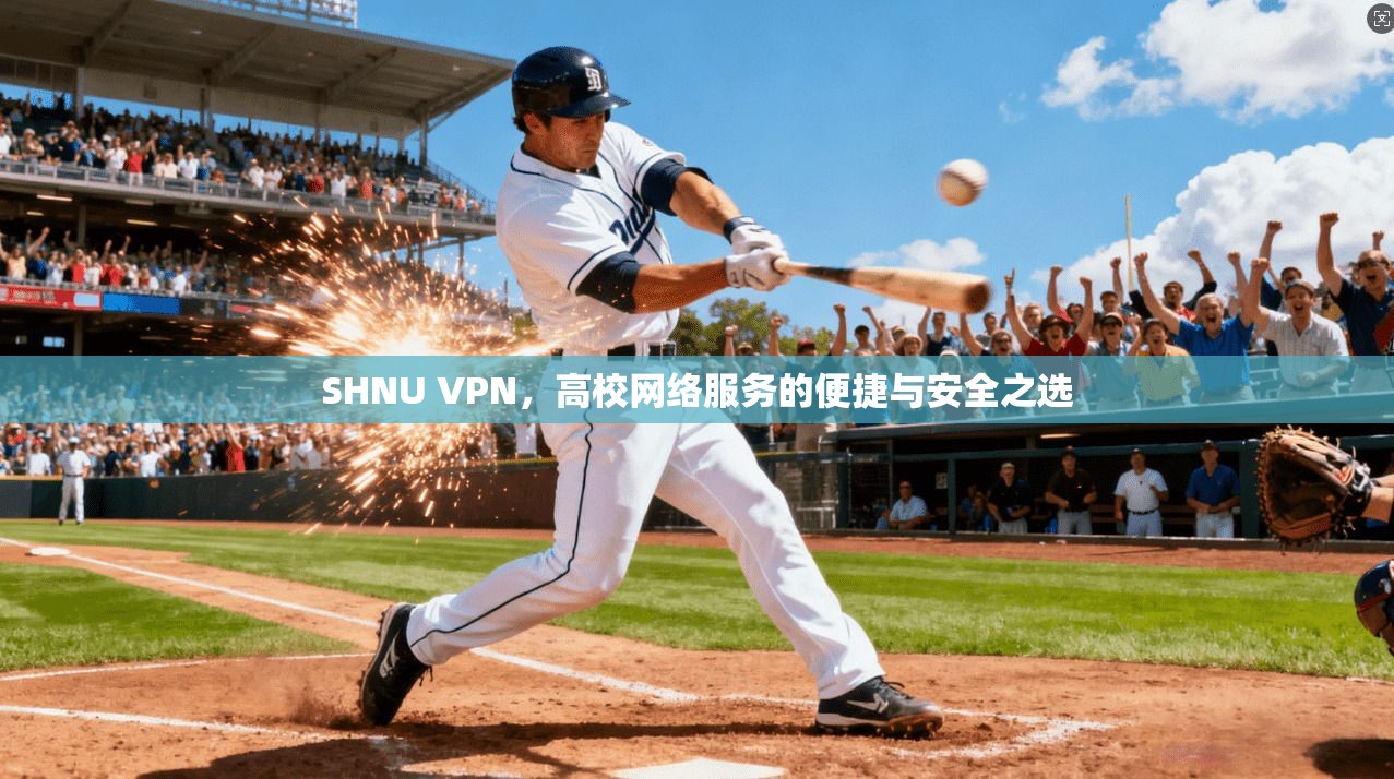 SHNU VPN，高校网络服务的便捷与安全之选