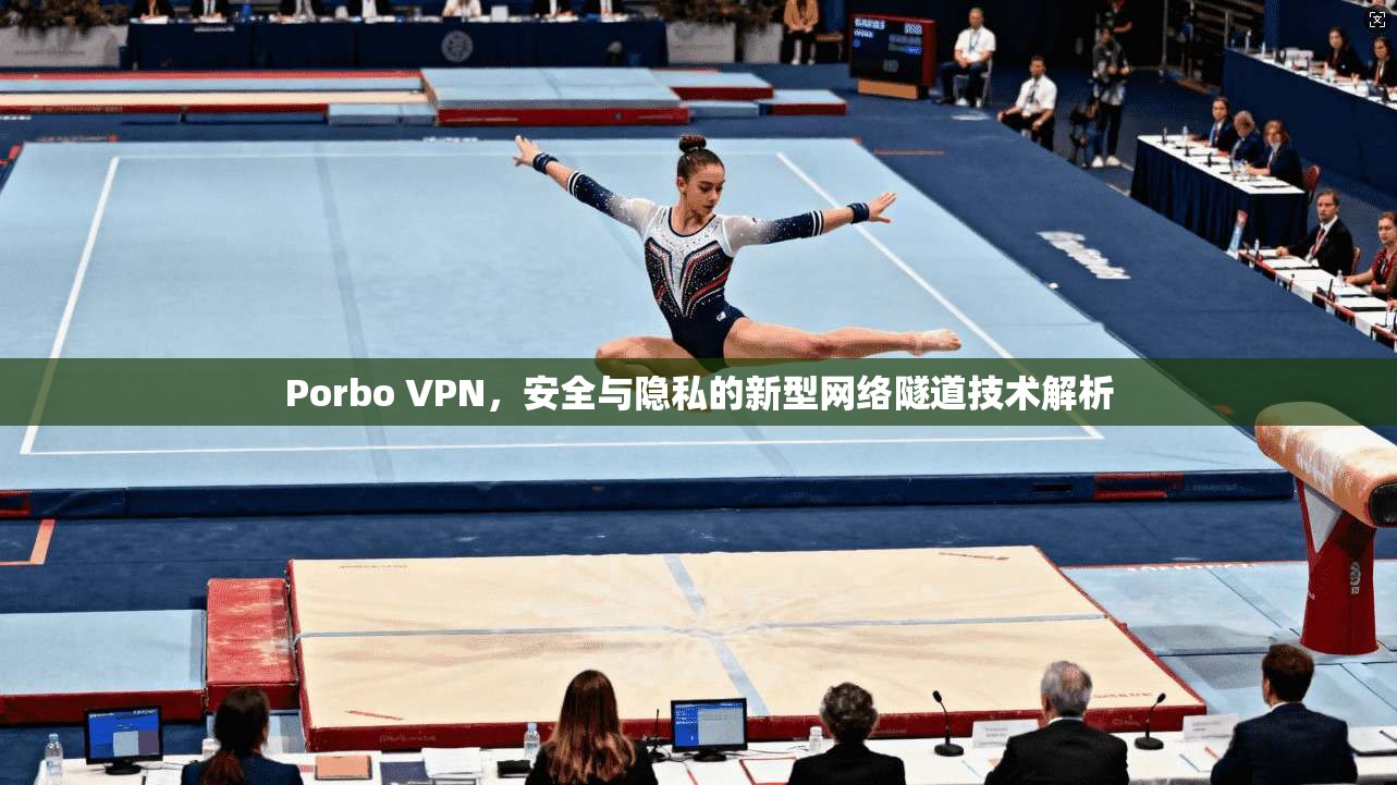 Porbo VPN，安全与隐私的新型网络隧道技术解析