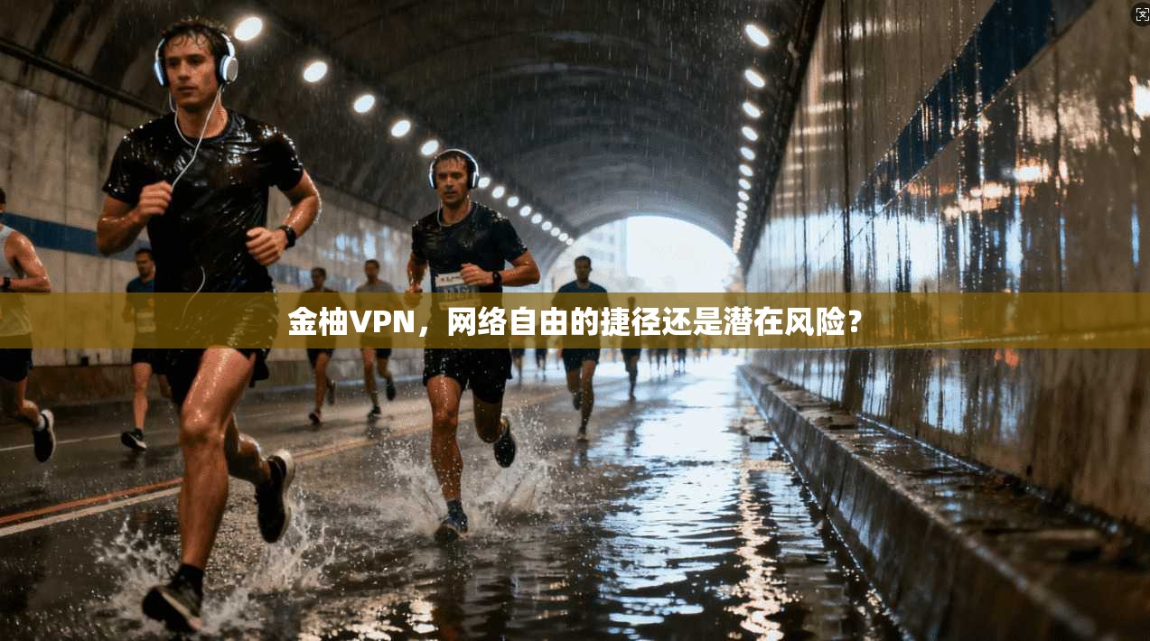 金柚VPN，网络自由的捷径还是潜在风险？