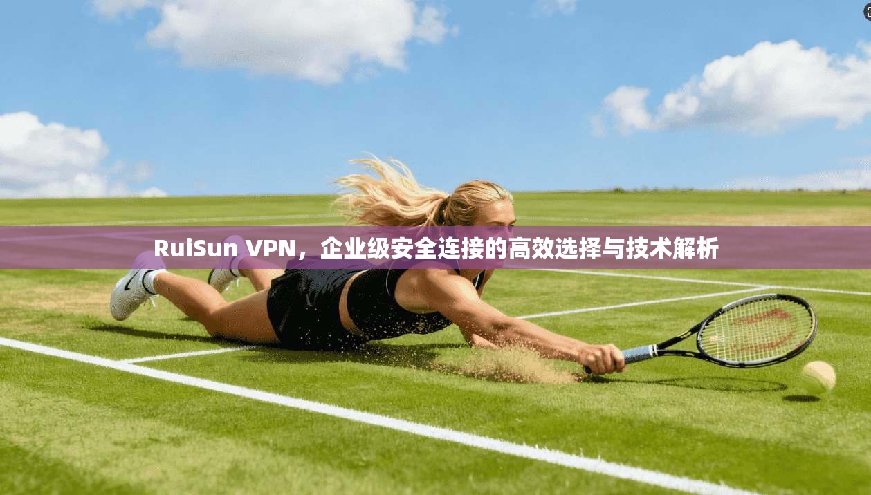 RuiSun VPN，企业级安全连接的高效选择与技术解析
