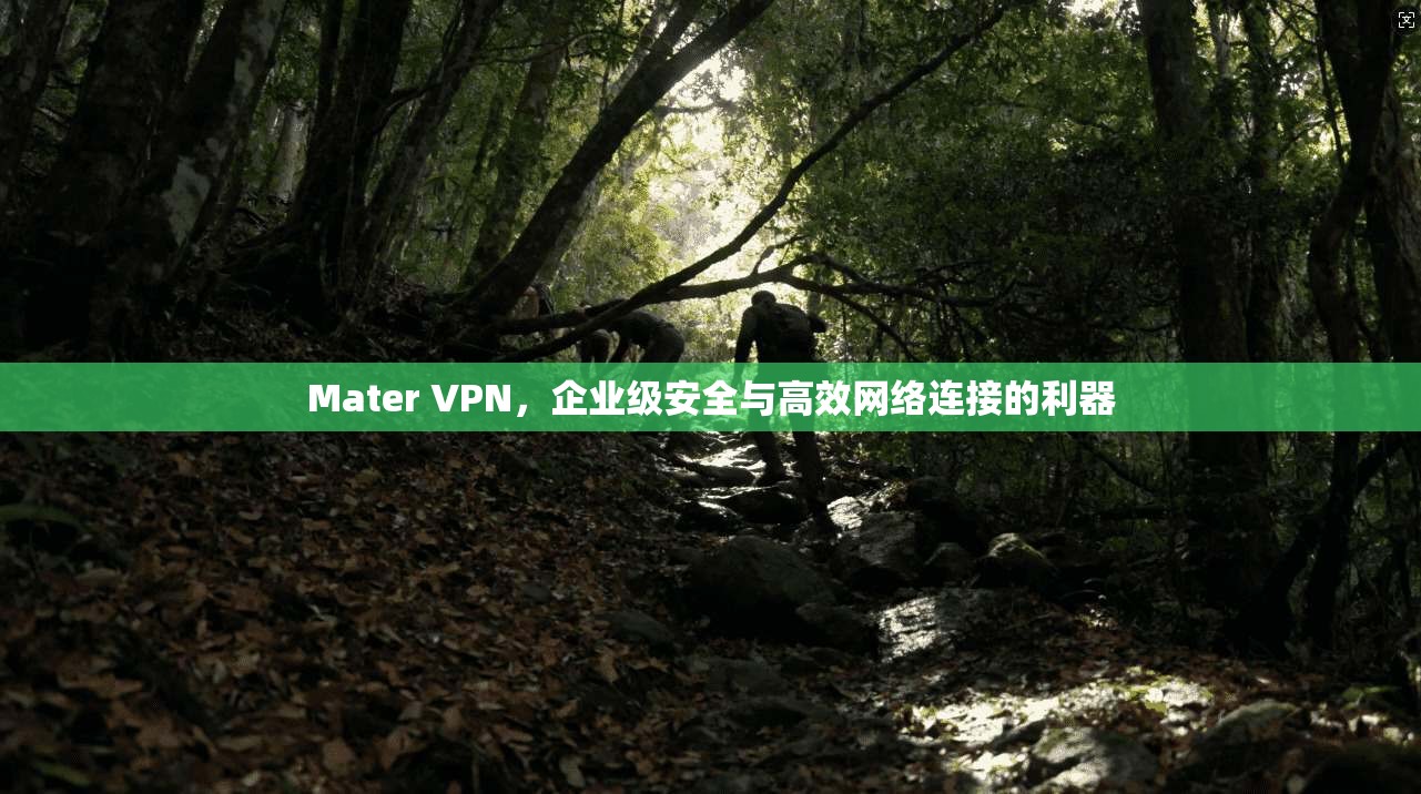 Mater VPN，企业级安全与高效网络连接的利器