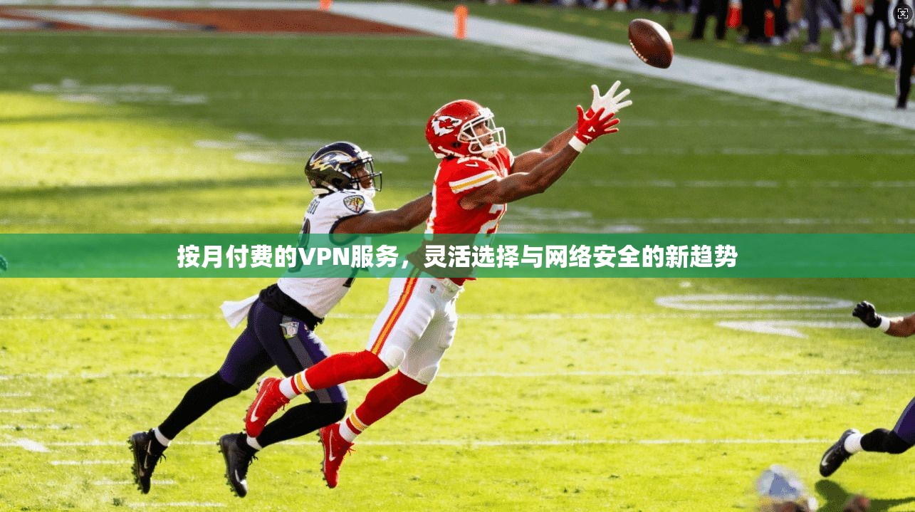 按月付费的VPN服务，灵活选择与网络安全的新趋势