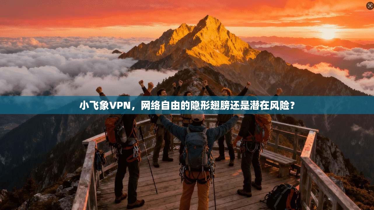 小飞象VPN，网络自由的隐形翅膀还是潜在风险？