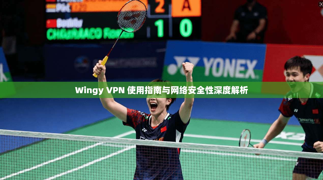 Wingy VPN 使用指南与网络安全性深度解析