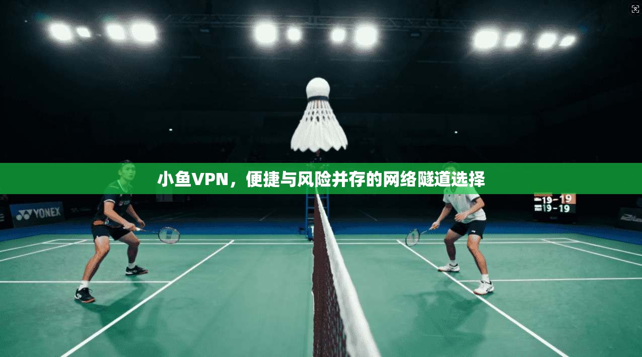 小鱼VPN，便捷与风险并存的网络隧道选择