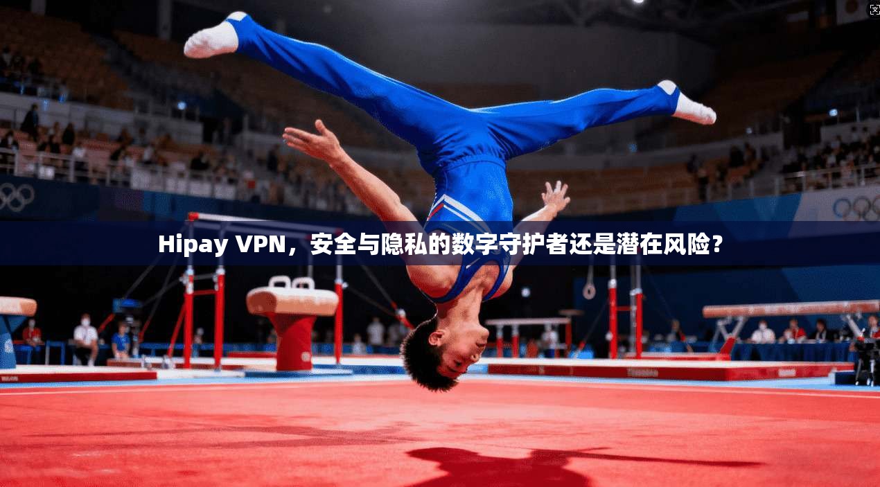 Hipay VPN，安全与隐私的数字守护者还是潜在风险？