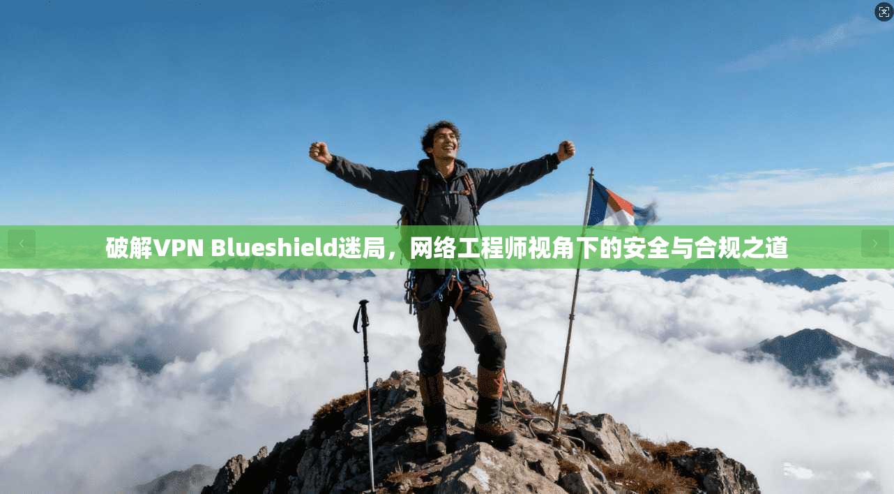 破解VPN Blueshield迷局，网络工程师视角下的安全与合规之道