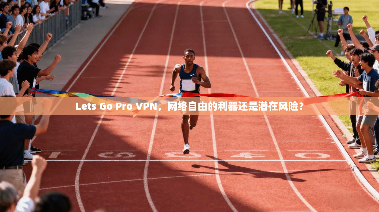 Lets Go Pro VPN，网络自由的利器还是潜在风险？