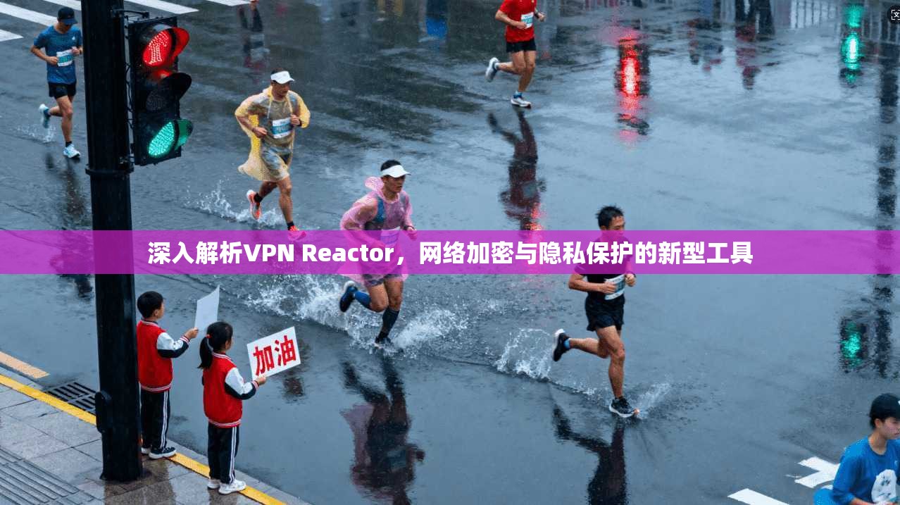 深入解析VPN Reactor，网络加密与隐私保护的新型工具