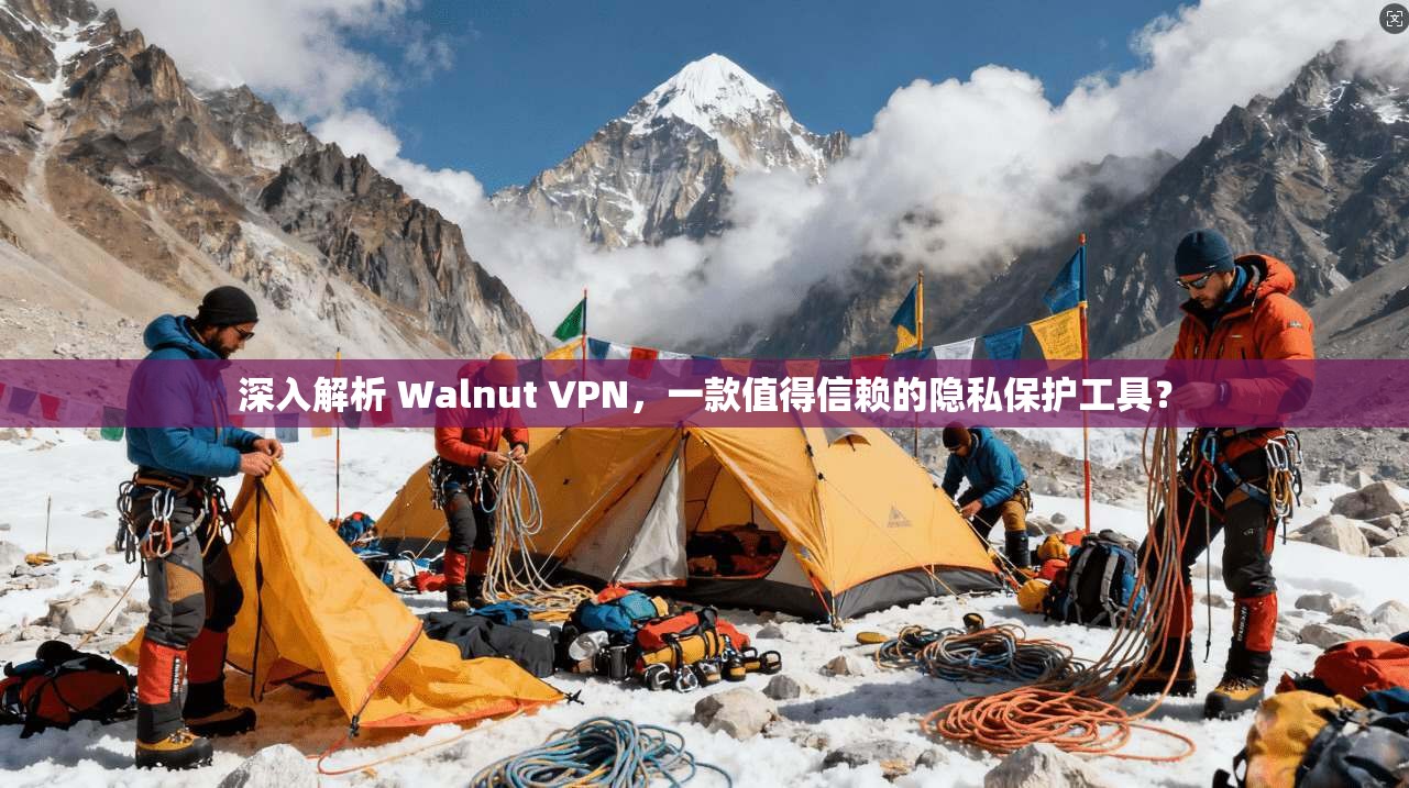 深入解析 Walnut VPN，一款值得信赖的隐私保护工具？