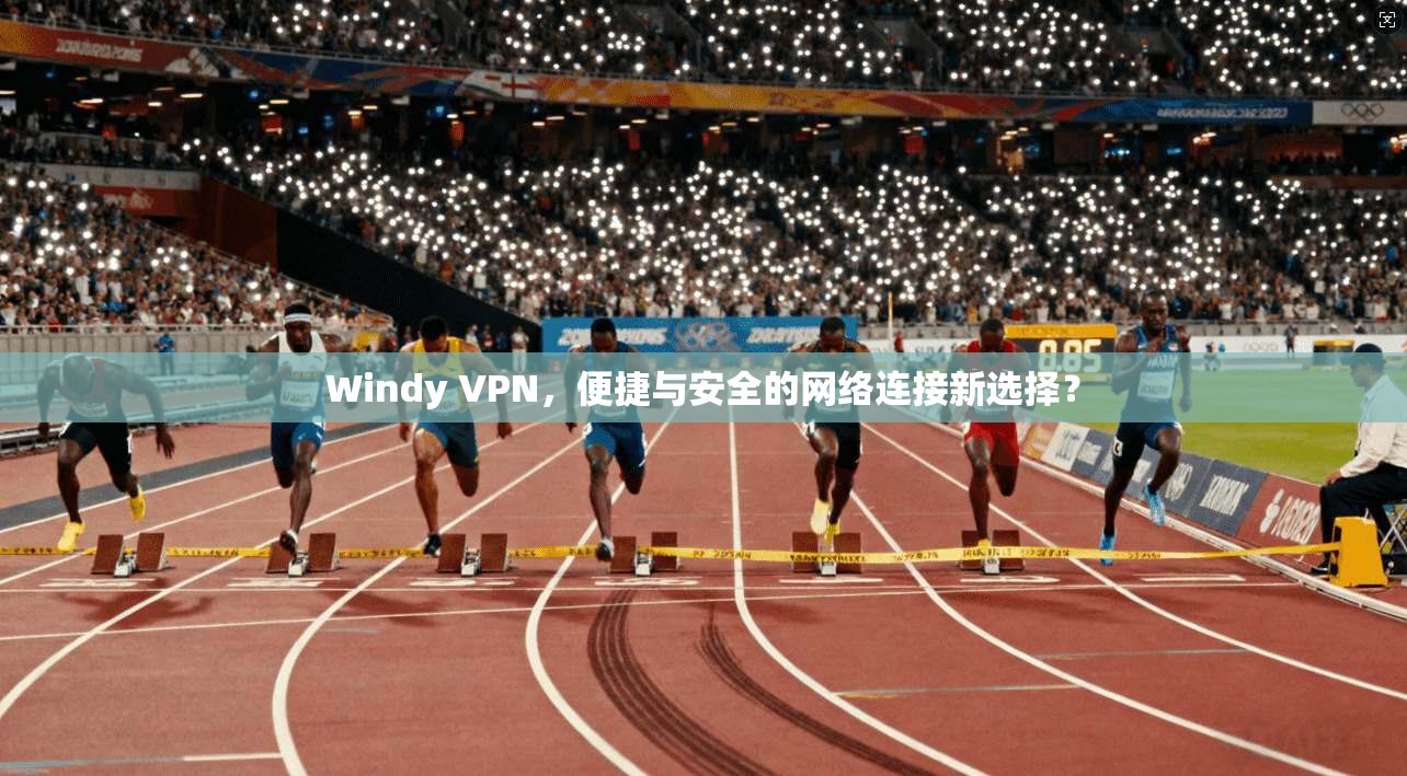 Windy VPN，便捷与安全的网络连接新选择？