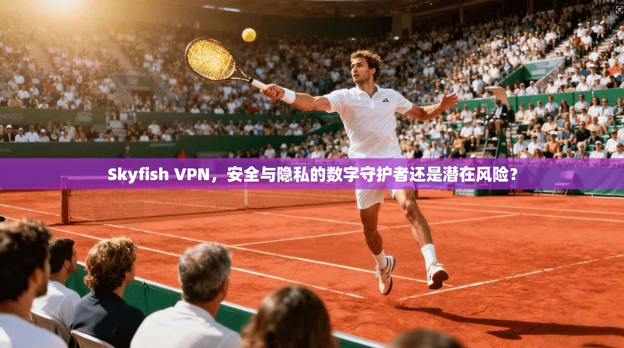 Skyfish VPN，安全与隐私的数字守护者还是潜在风险？