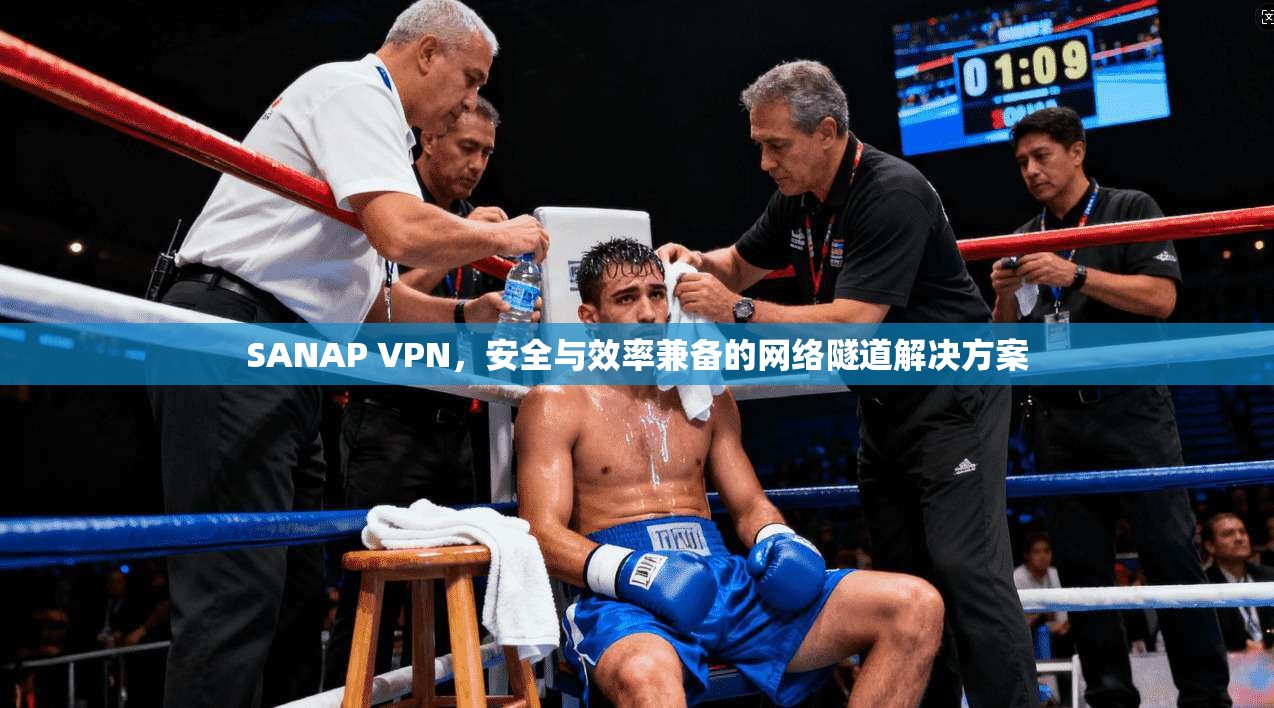 SANAP VPN，安全与效率兼备的网络隧道解决方案