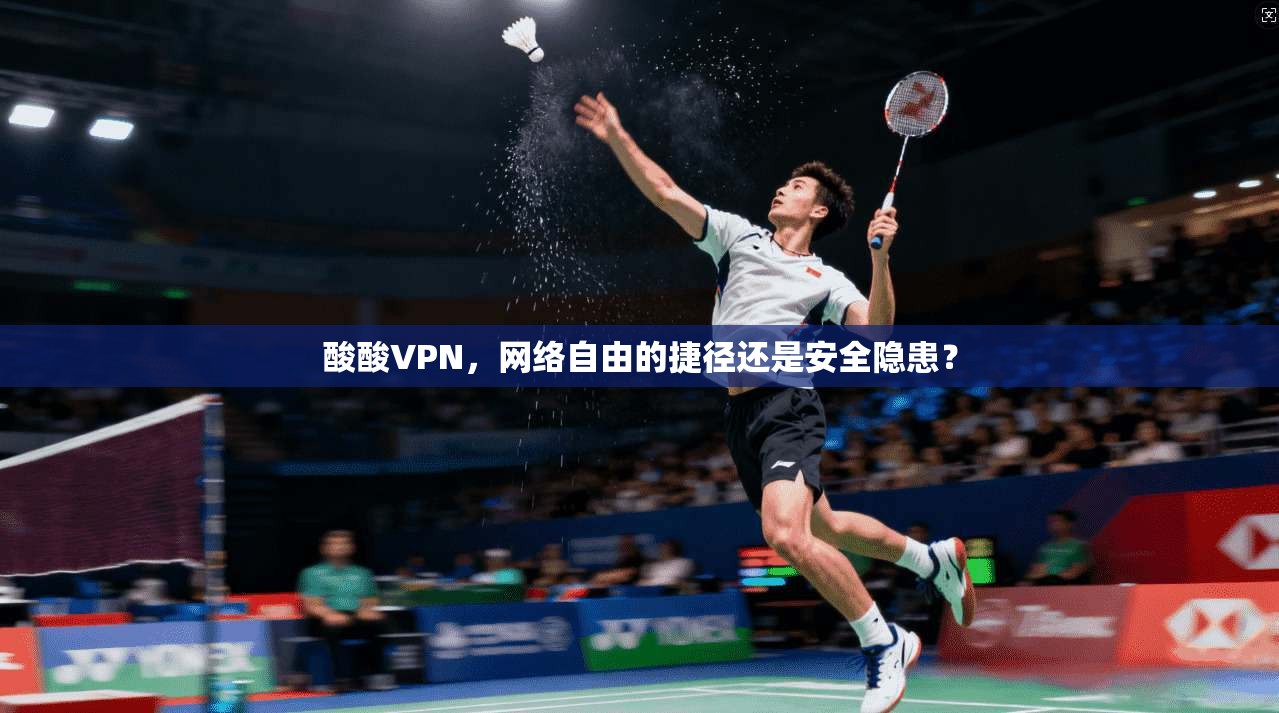 酸酸VPN，网络自由的捷径还是安全隐患？