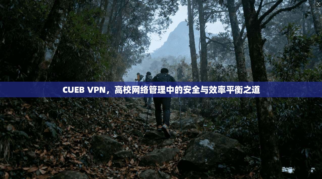 CUEB VPN，高校网络管理中的安全与效率平衡之道