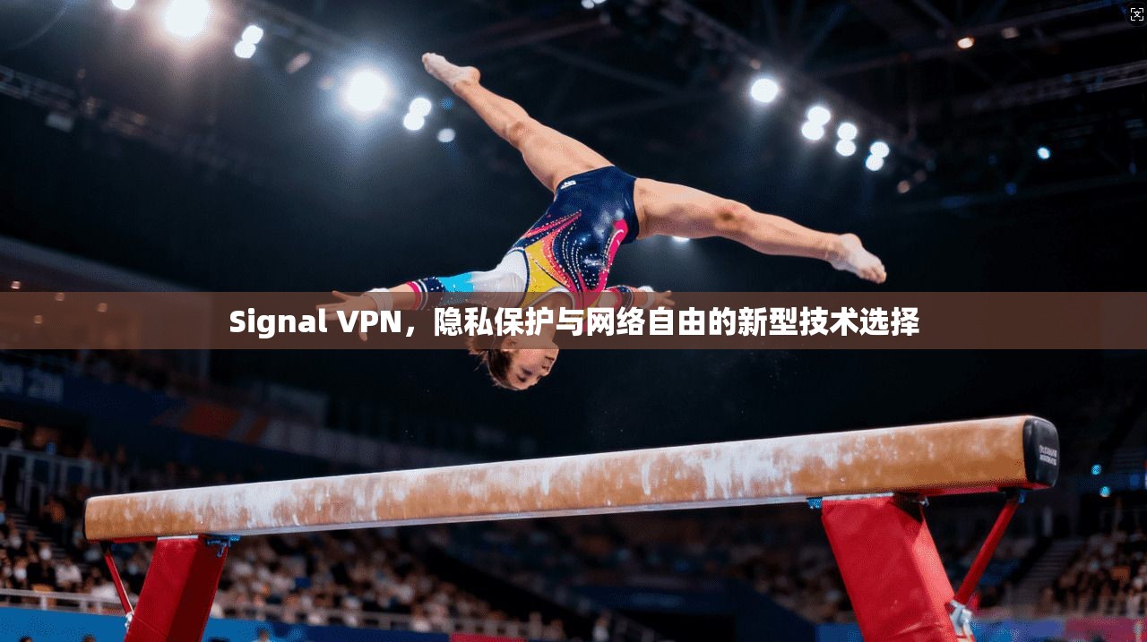 Signal VPN，隐私保护与网络自由的新型技术选择