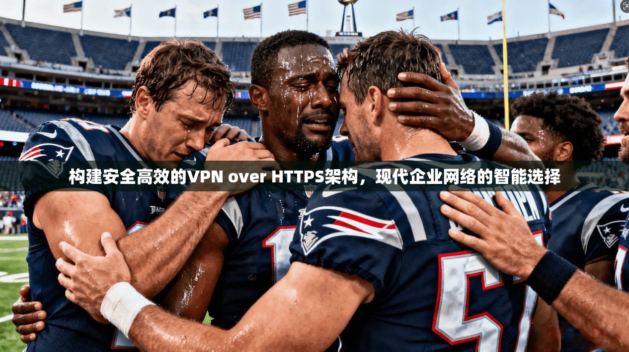 构建安全高效的VPN over HTTPS架构，现代企业网络的智能选择
