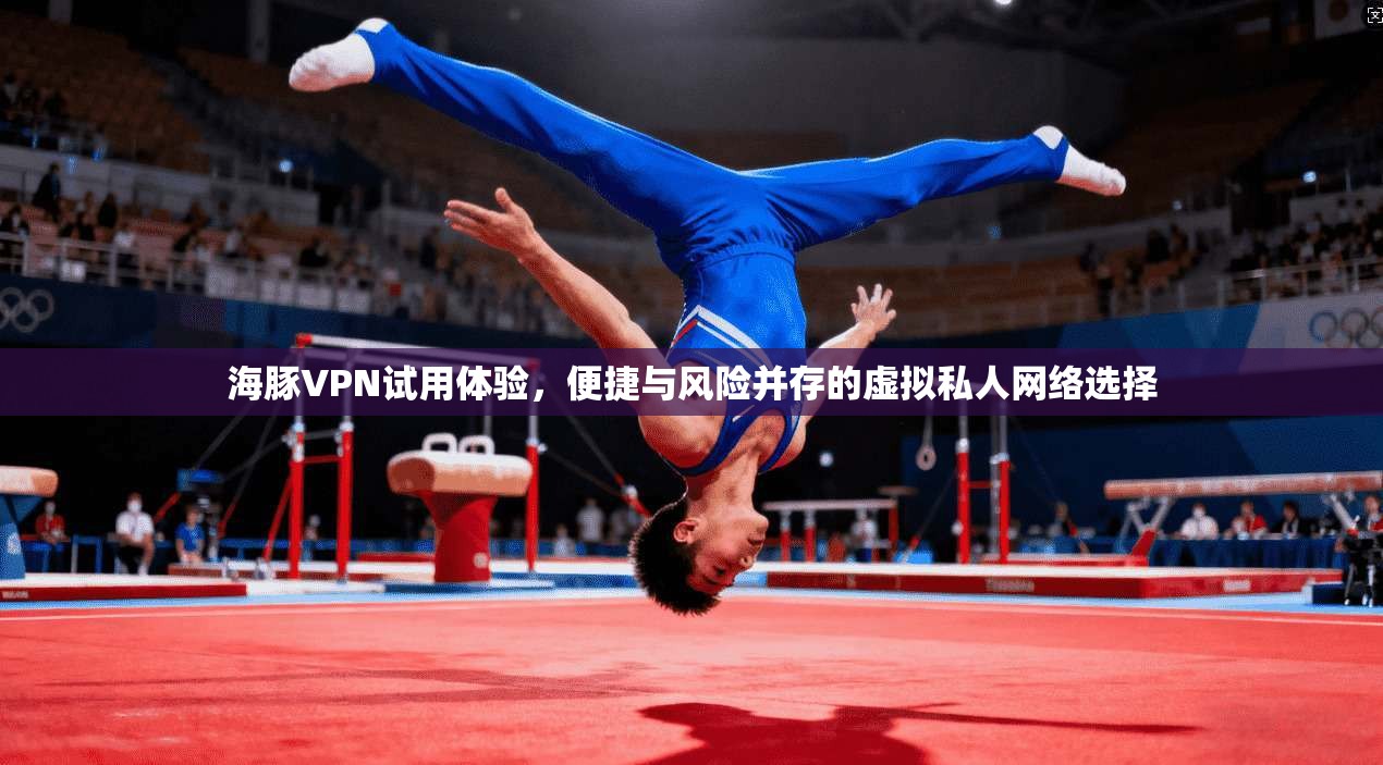 海豚VPN试用体验，便捷与风险并存的虚拟私人网络选择