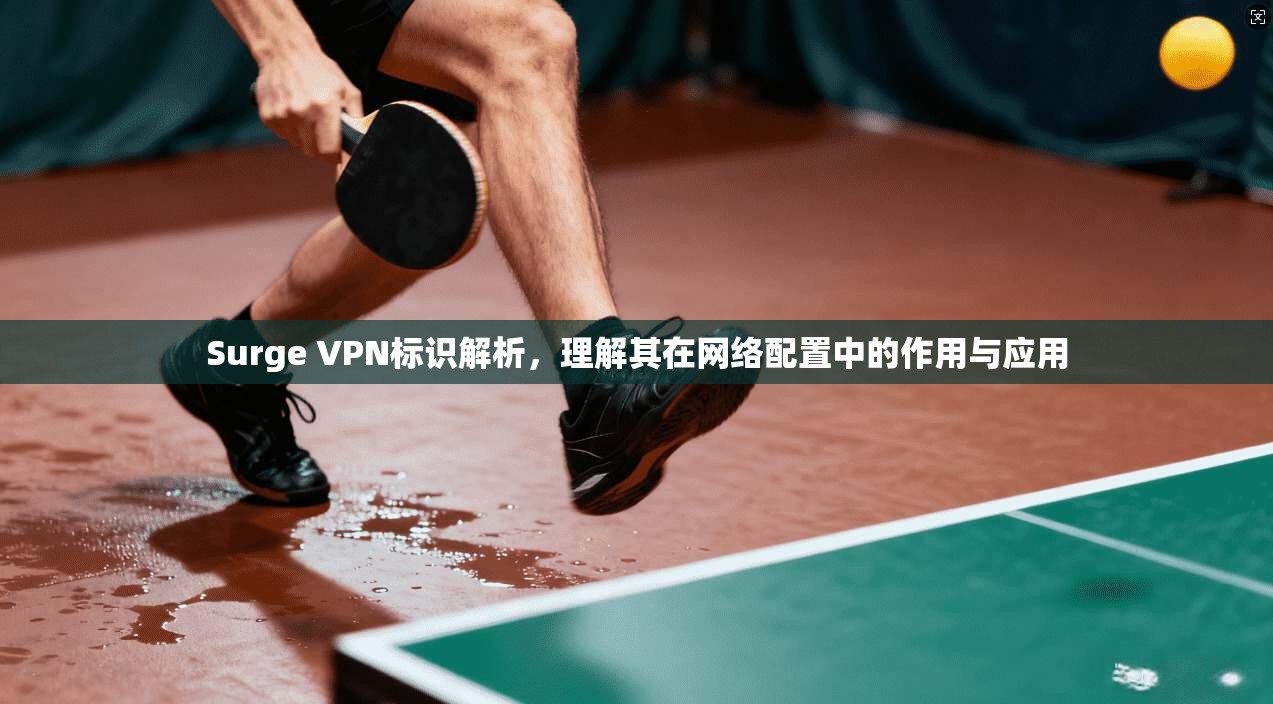 Surge VPN标识解析，理解其在网络配置中的作用与应用