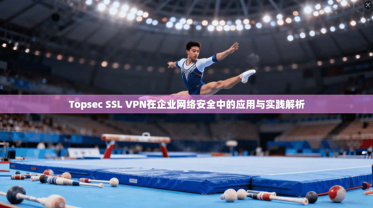 Topsec SSL VPN在企业网络安全中的应用与实践解析
