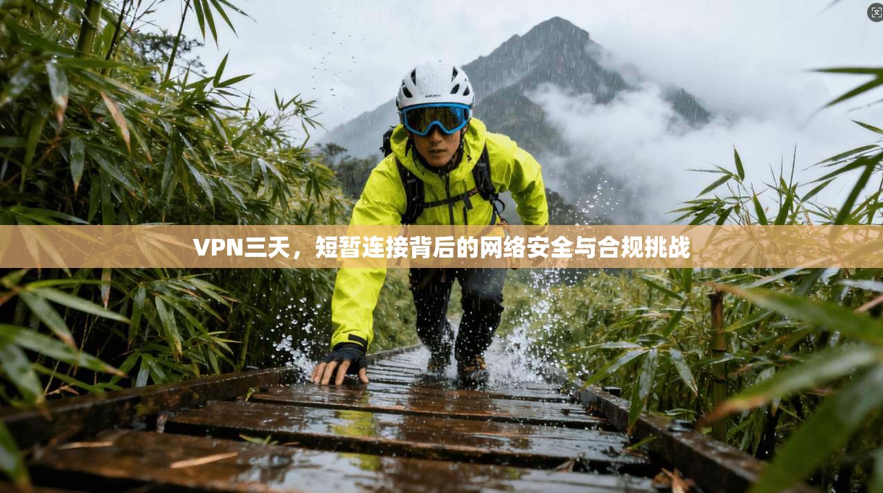 VPN三天，短暂连接背后的网络安全与合规挑战