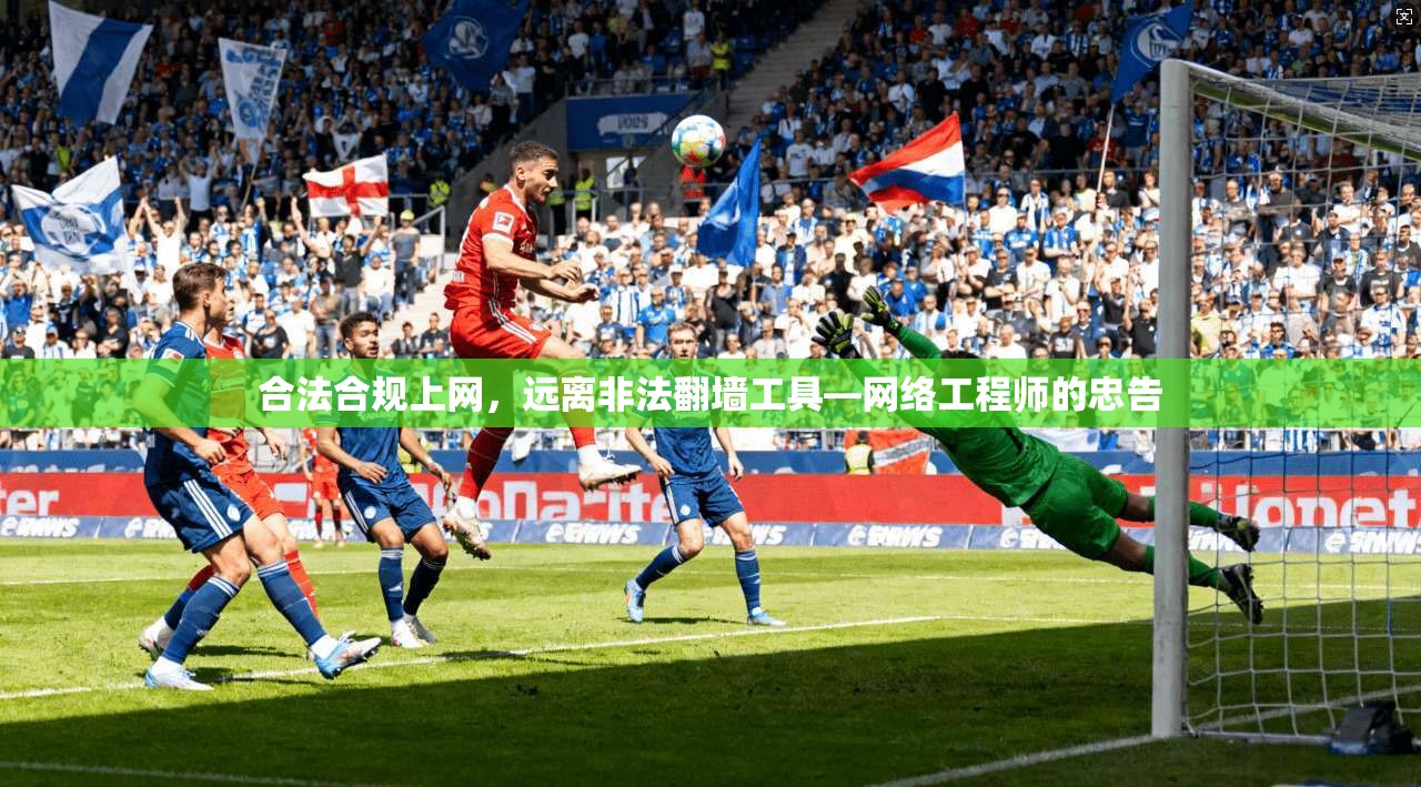 合法合规上网，远离非法翻墙工具—网络工程师的忠告