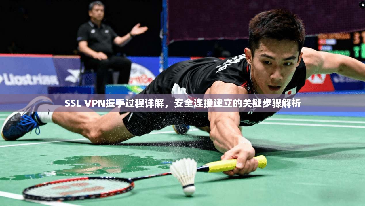 SSL VPN握手过程详解，安全连接建立的关键步骤解析