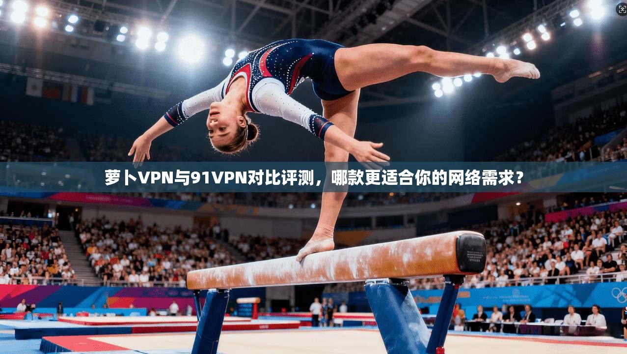 萝卜VPN与91VPN对比评测，哪款更适合你的网络需求？