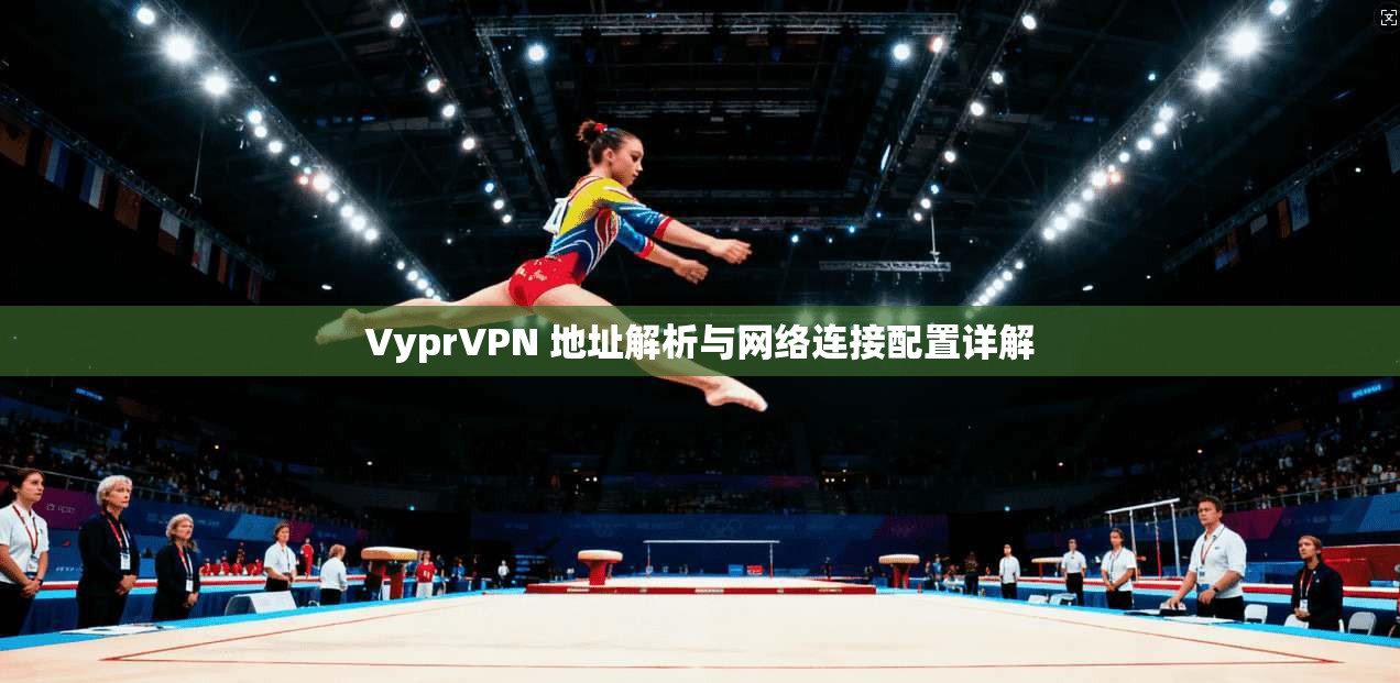 VyprVPN 地址解析与网络连接配置详解
