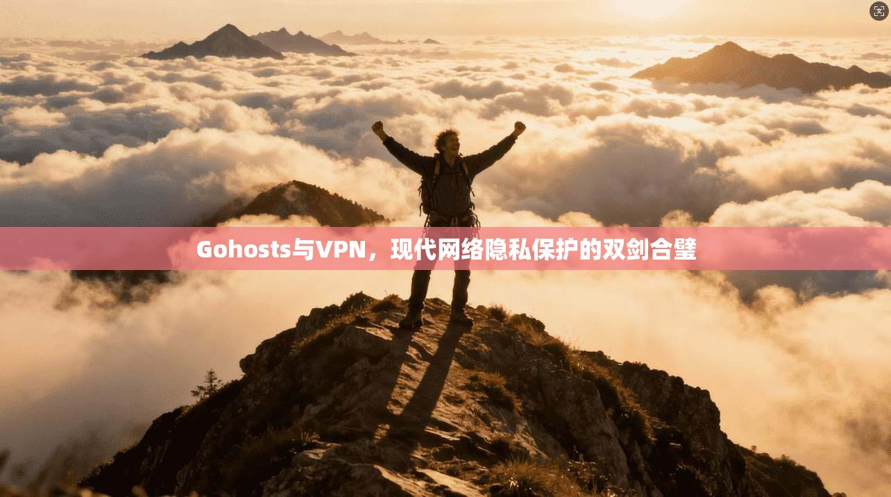 Gohosts与VPN，现代网络隐私保护的双剑合璧